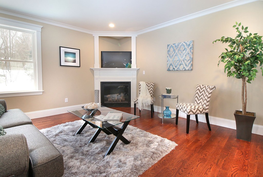 44 Howland Street Needham, MA 02492 - Photo 16 of 18 a living room with furniture a rug and a fireplace
