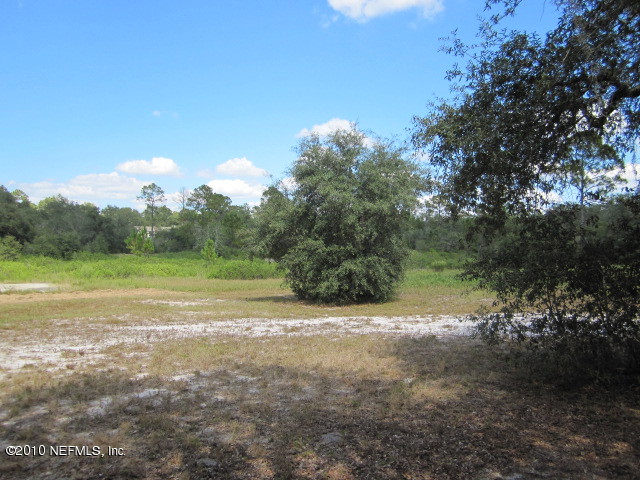 5821 Bryce Street Keystone Heights, FL 32656 - Photo 13 of 15 Back Pasture #3