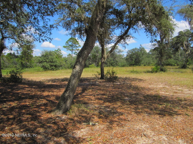 5821 Bryce Street Keystone Heights, FL 32656 - Photo 8 of 15 Back Yard #1
