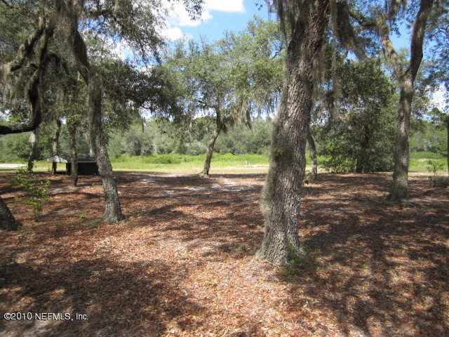 5821 Bryce Street Keystone Heights, FL 32656 - Photo 9 of 15 Back Yard #2
