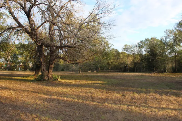 $35,000 | 0 F Avenue, Somerville, TX 77879