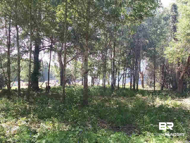 0 East Michigan Avenue Foley, AL 36535 - Photo 3 of 8