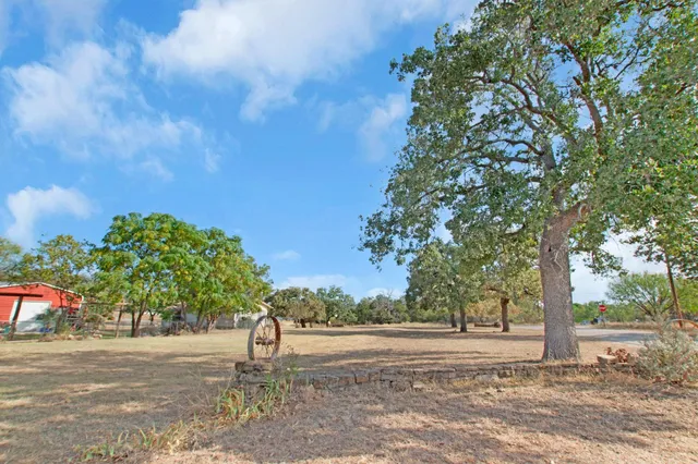 a view of a yard with a tree
