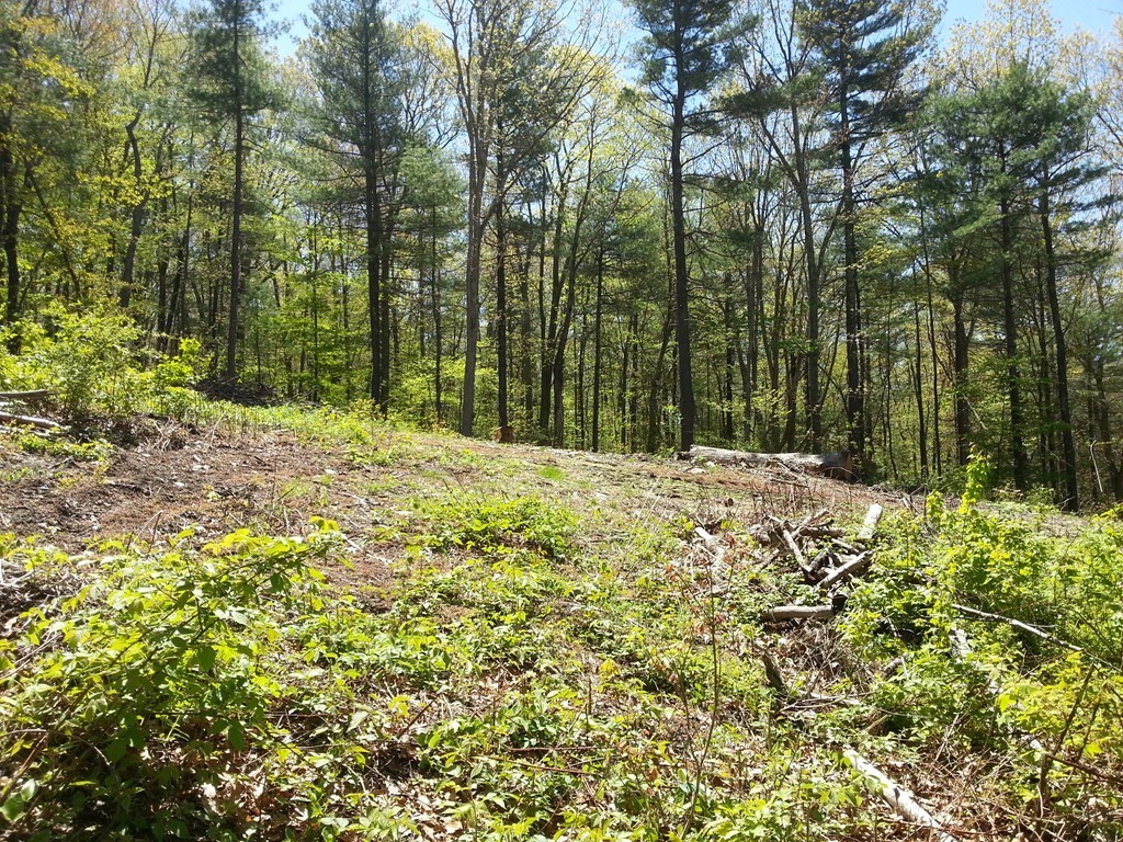 172 Mendon Road Sutton, MA 01590 - Photo 3 of 10 Gallery Image 3