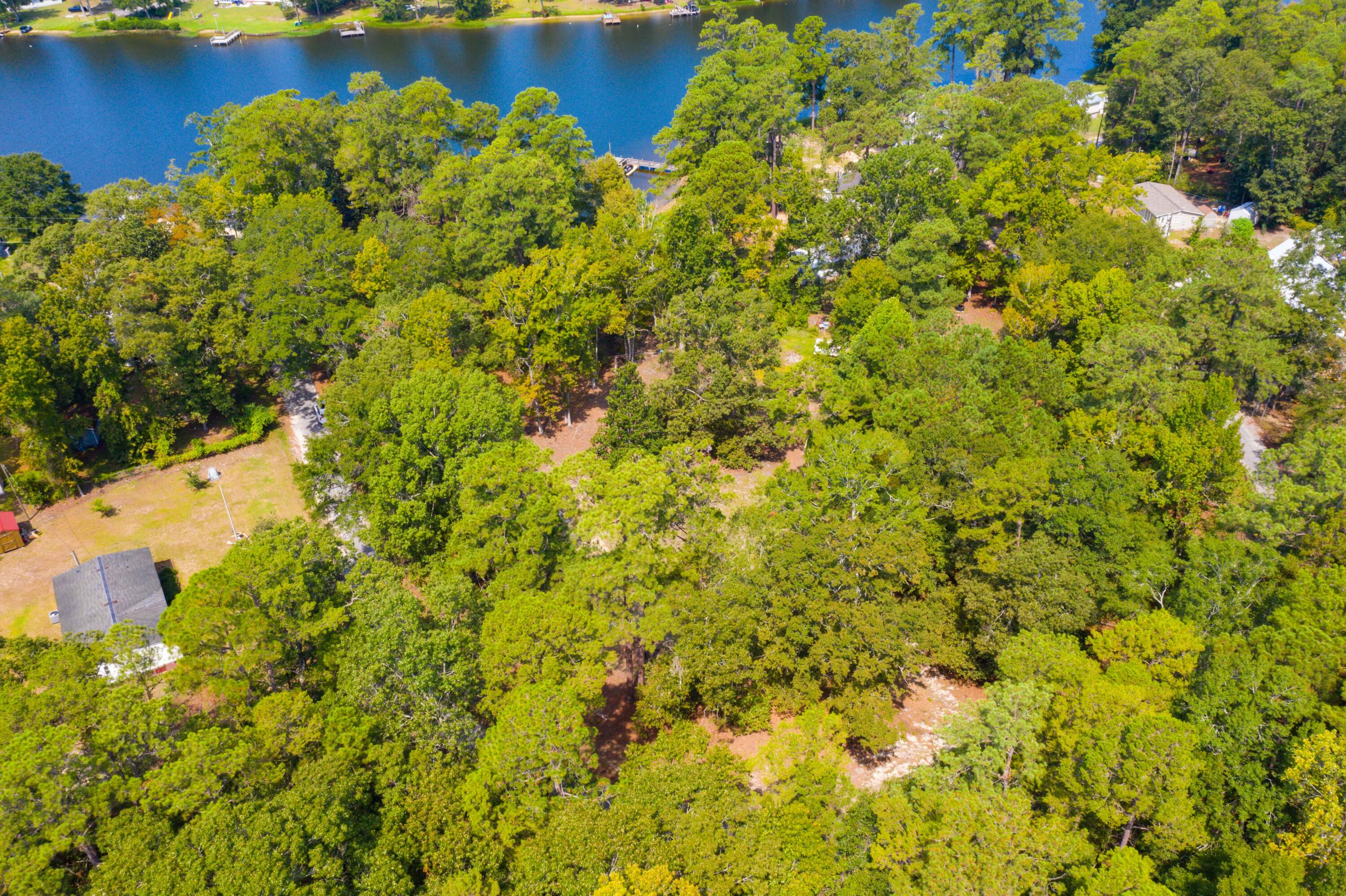 0 Delano Street Manning, SC 29102 - Photo 16 of 26 DJI_0865