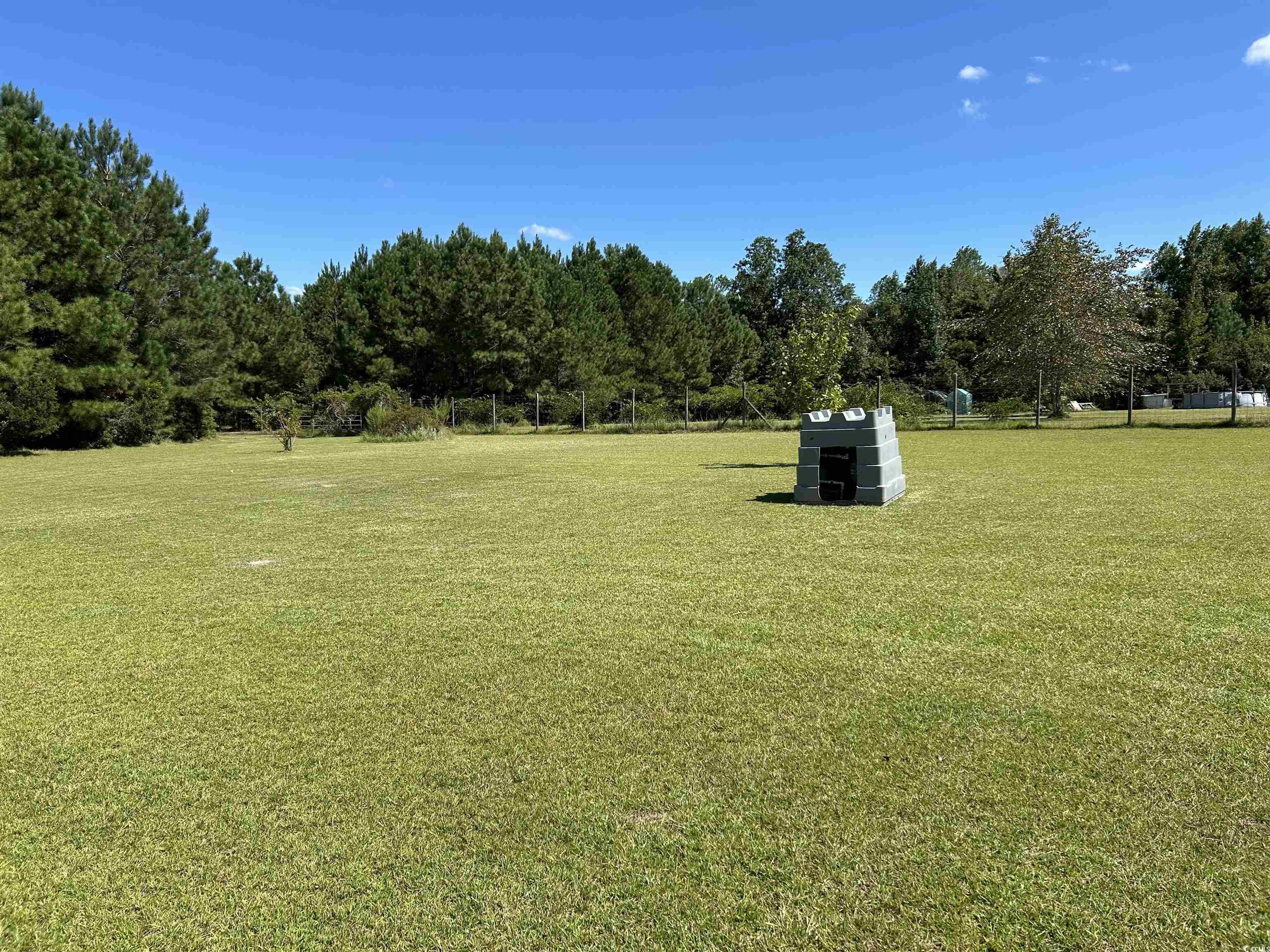 1098 State Rd S-21-225 Johnsonville, SC 29555 - Photo 27 of 35 Gallery Image 27