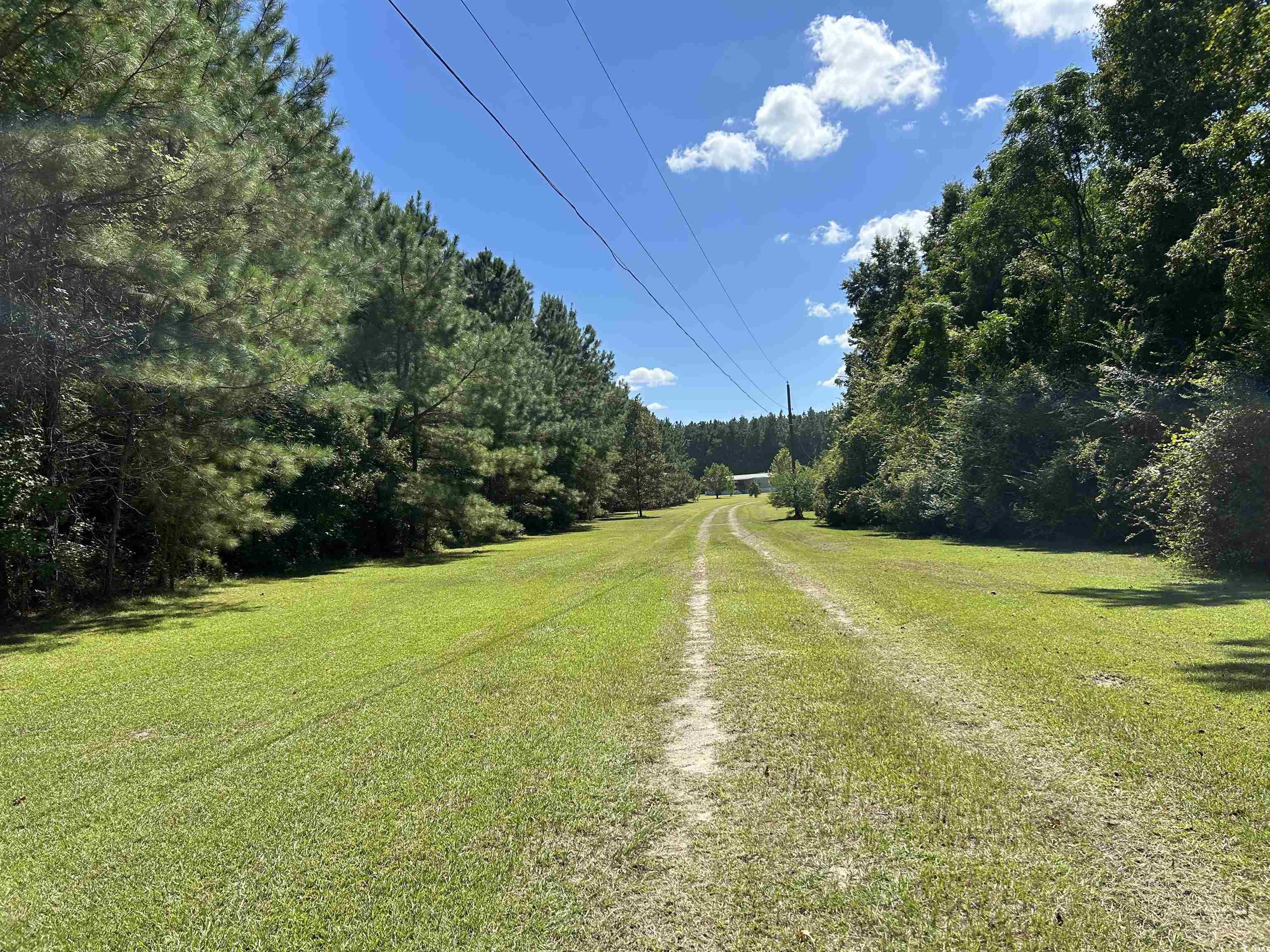 1098 State Rd S-21-225 Johnsonville, SC 29555 - Photo 29 of 35 Gallery Image 29