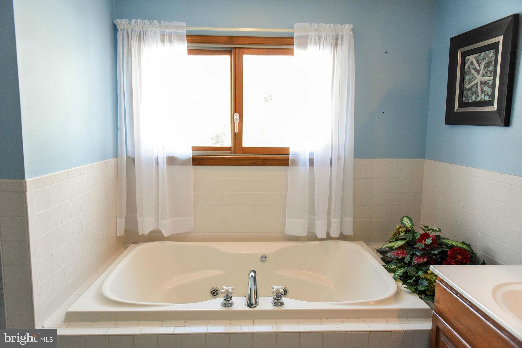 12675 Point Lookout Road Ridge, MD 20680 - Photo 29 of 30 Relax in Your Eight Jet Tub