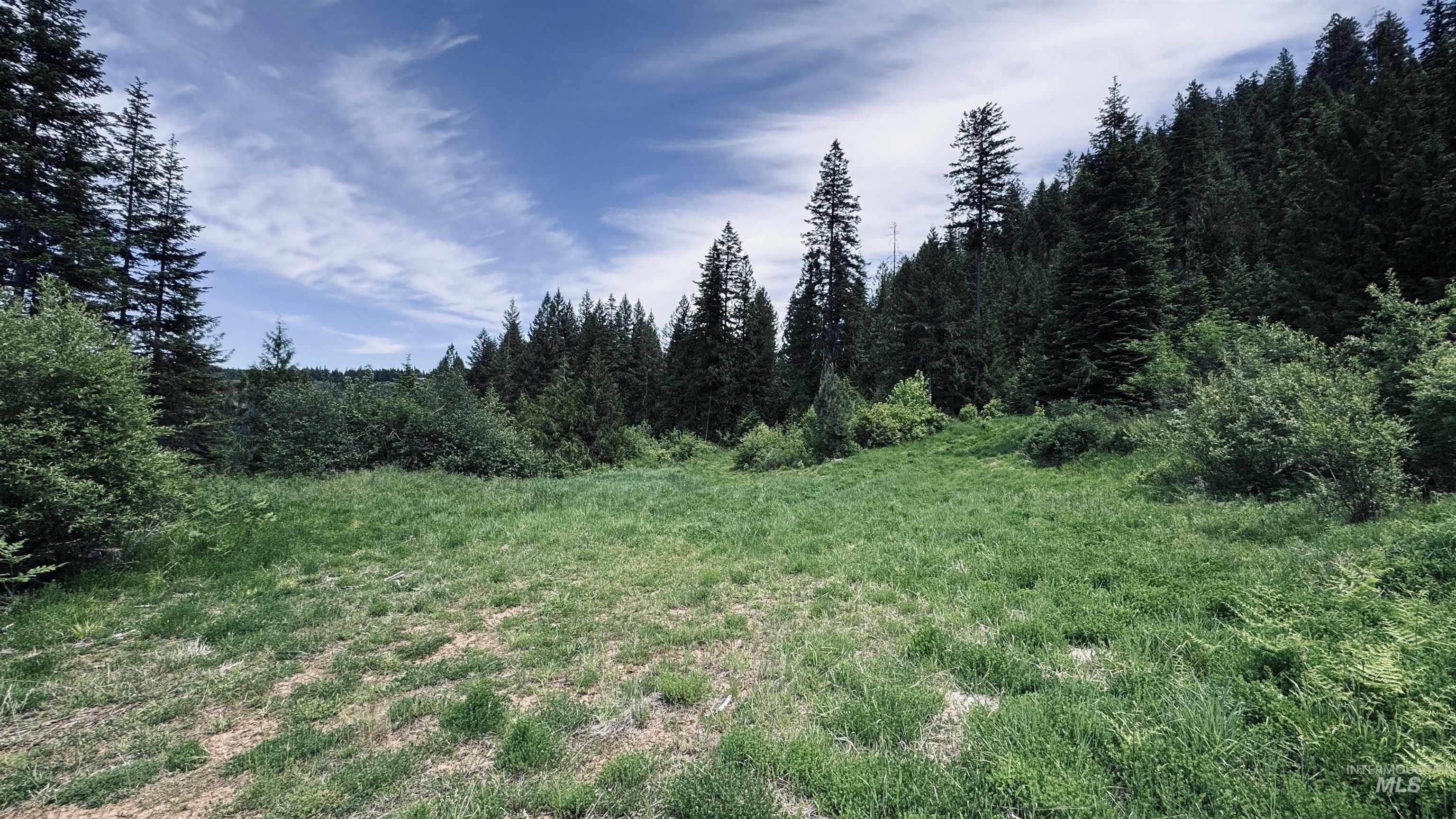 Tbd Glenwood Road Kamiah, ID 83536 - Photo 44 of 50