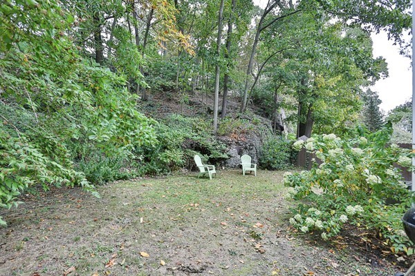 39 Thurston Road, Unit 39 Newton, MA 02464 - Photo 18 of 20 a view of a park with large trees