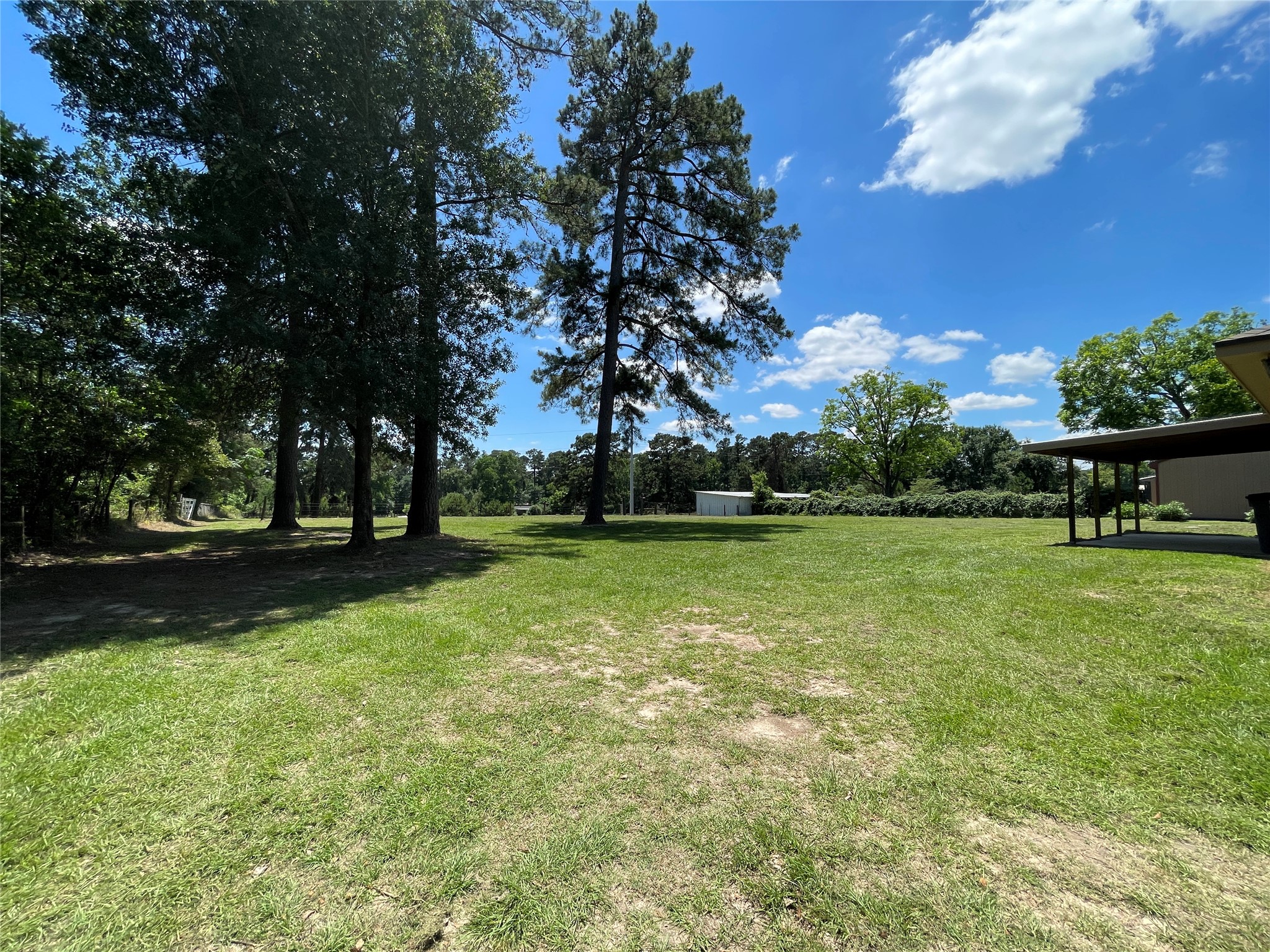 19439 Keenan Cut Off Road Montgomery, TX 77316 - Photo 22 of 39 a view of a park with large trees