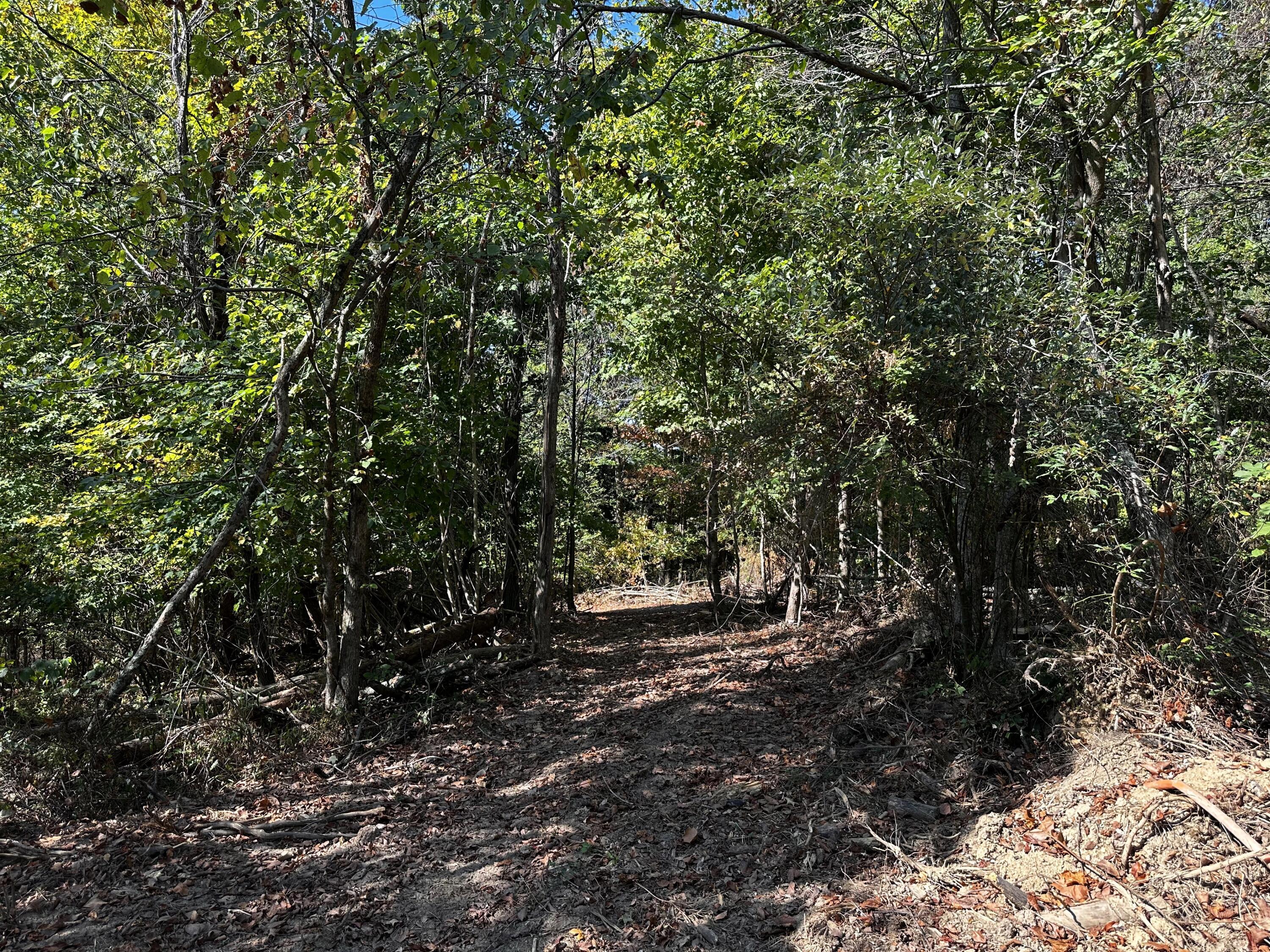 0 Dutch Ridge Road, Unit TRACT 6 AT DUTCH RIDGE) New Straitsville, OH 43766 - Photo 20 of 44 20240920_152652725_iOS