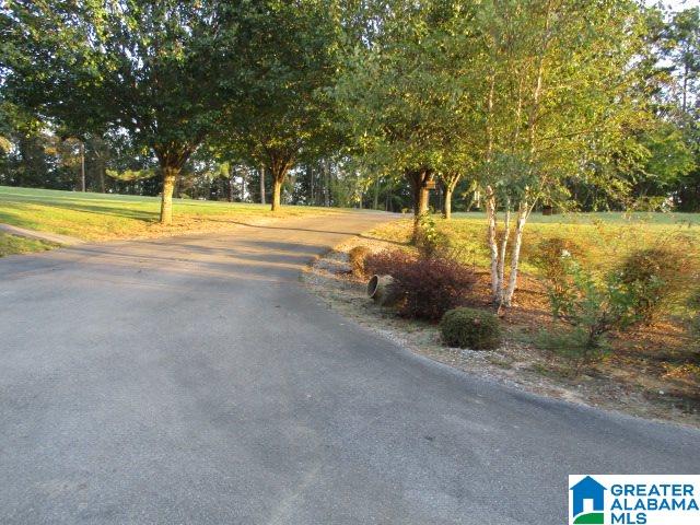 4153 Airport Road Altoona, AL 35952 - Photo 11 of 16