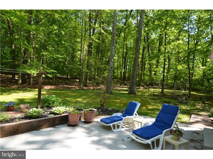 1322 Snyder Road Green Lane, PA 18054 - Photo 20 of 25 Patio