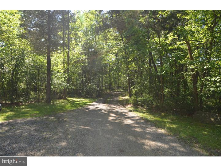 1322 Snyder Road Green Lane, PA 18054 - Photo 25 of 25 Driveway