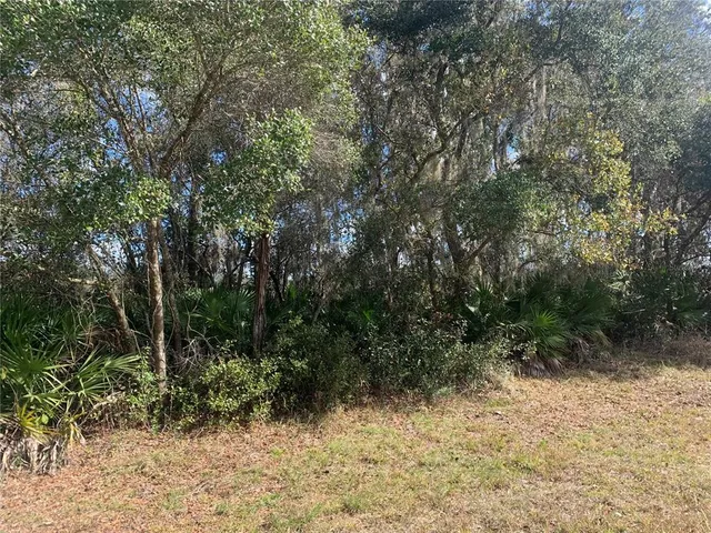 $75,000 | 39926 Forest Drive, Eustis, FL 32736