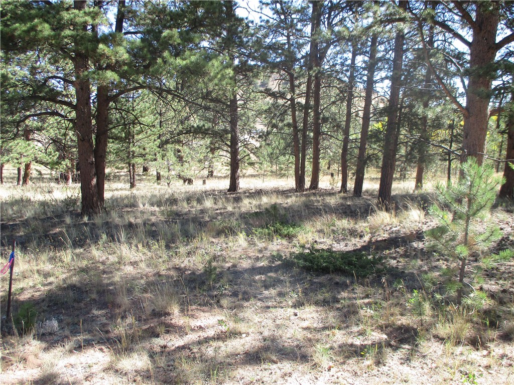 166 Haystack Road Hartsel, CO 80449 - Photo 2 of 16 Gallery Image 2