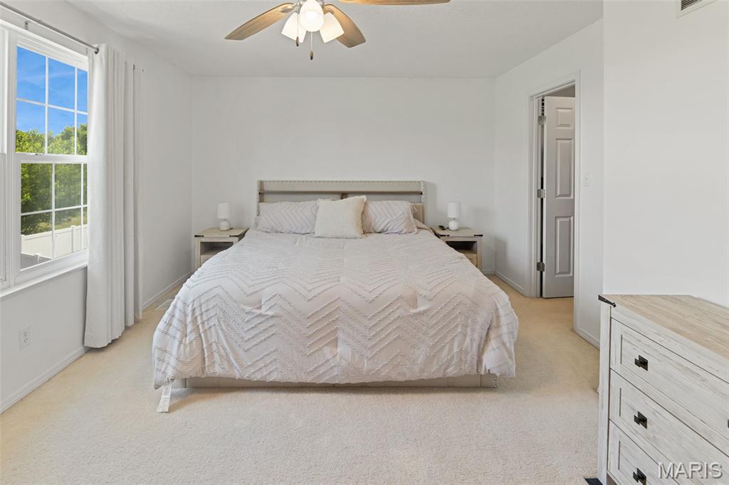 922 Benjamin Drive O'Fallon, IL 62269 - Photo 17 of 32