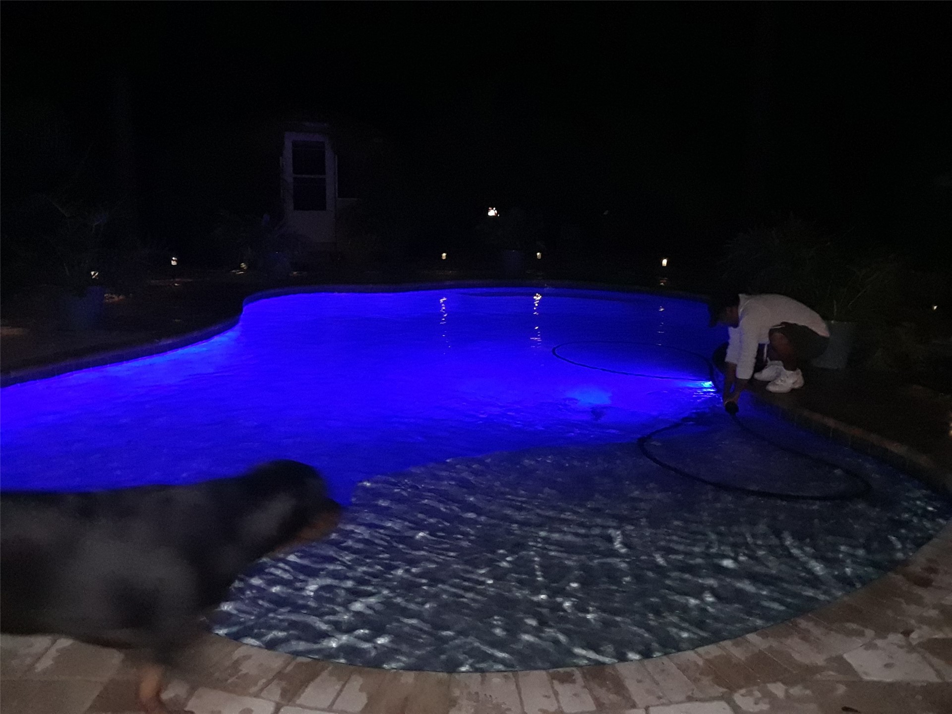 85216 Lina Road Fernandina Beach, FL 32034 - Photo 46 of 47 a view of a yard with red umbrella