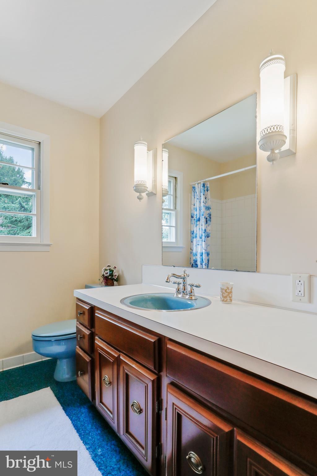 10600 Harry Heth Road Williamsport, MD 21795 - Photo 27 of 52 Main Floor Downstairs Bathroom with Large Vanity