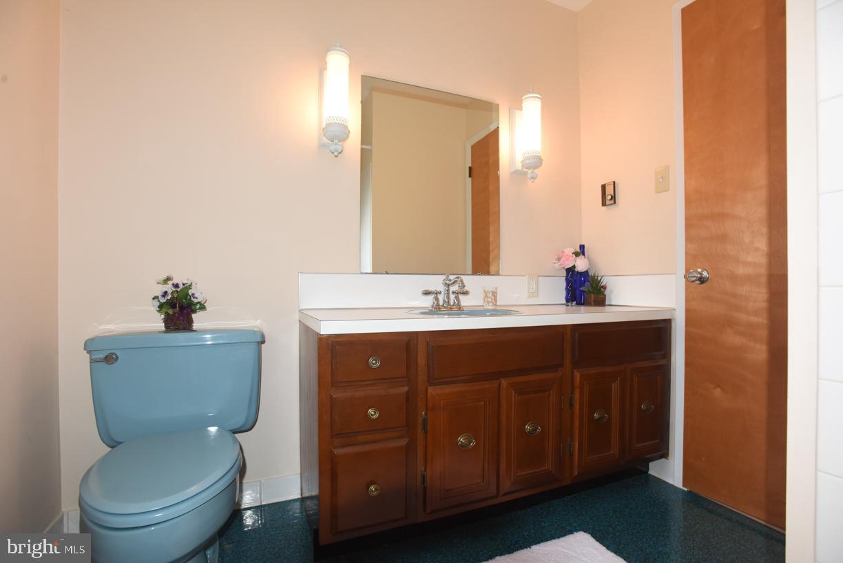 10600 Harry Heth Road Williamsport, MD 21795 - Photo 28 of 52 Main Floor Downstairs Bathroom with Large Vanity