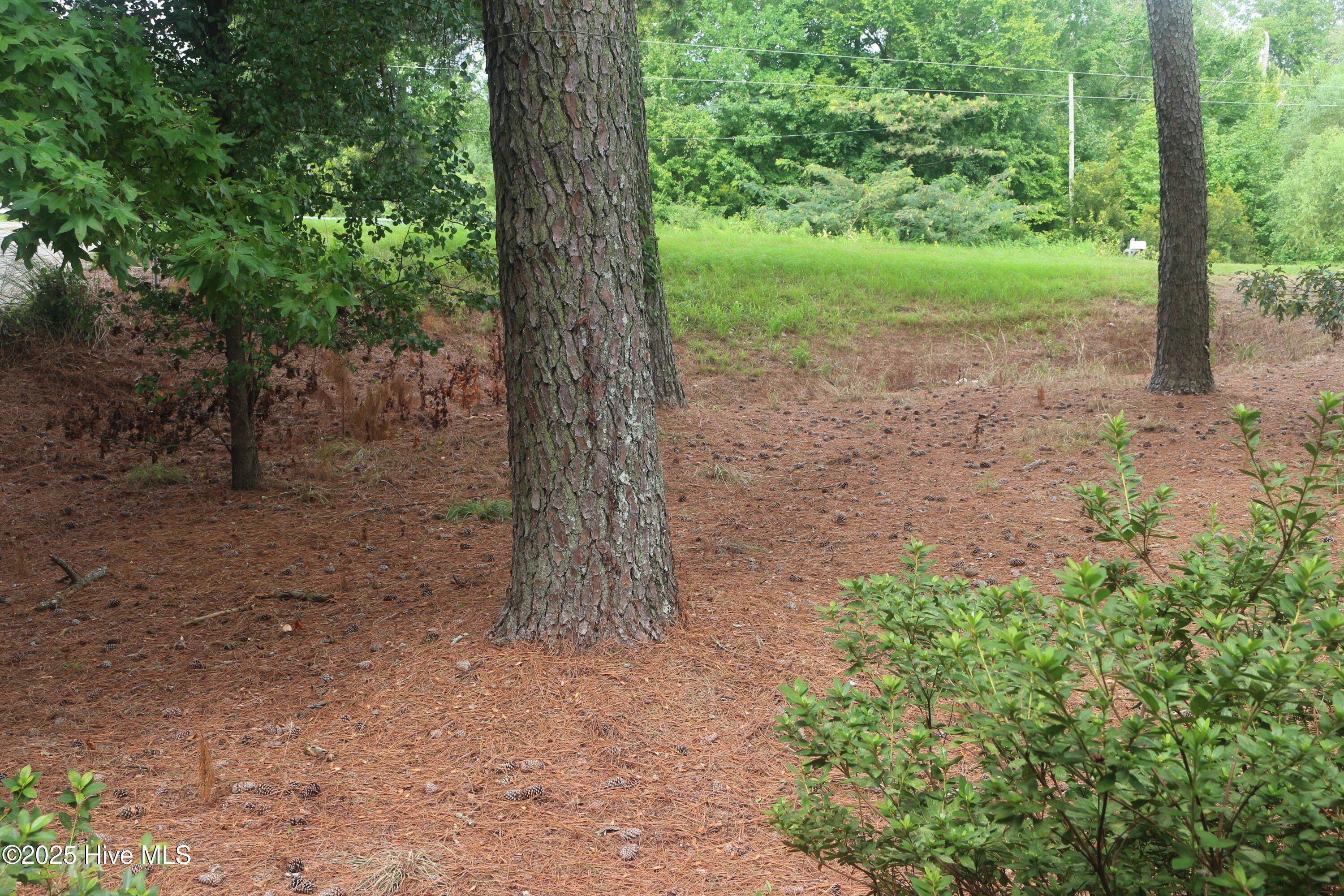 2044 Mozingo Road Greenville, NC 27834 - Photo 51 of 53 Yard-1