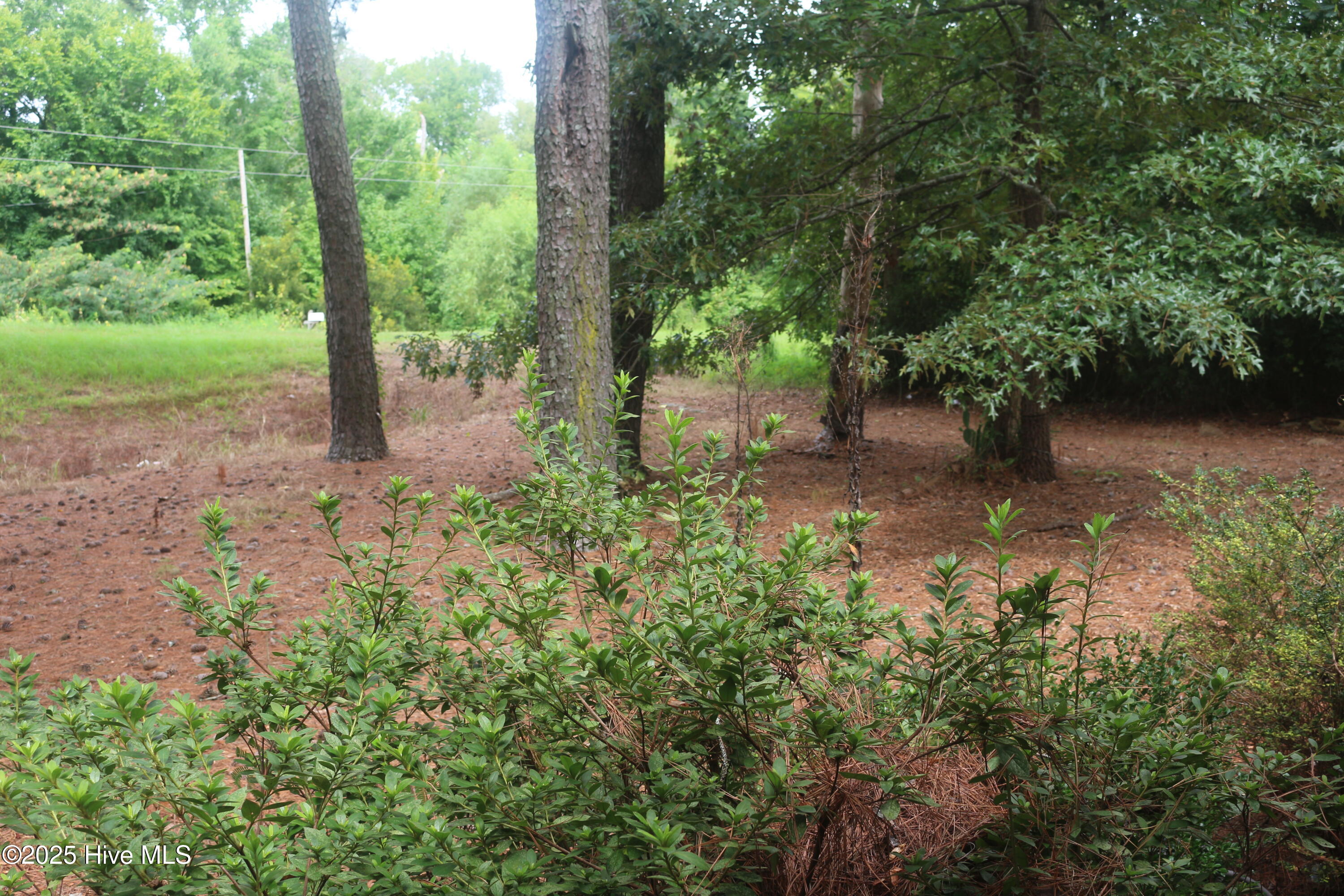 2044 Mozingo Road Greenville, NC 27834 - Photo 52 of 53 Yard-3