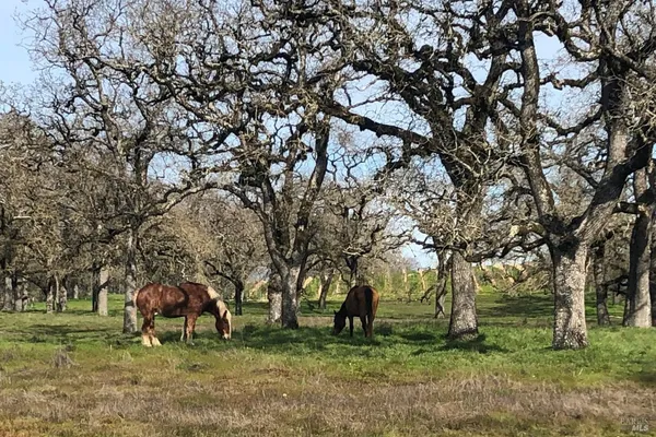 $2,475,000 | 3111 Piner Road, Santa Rosa, CA 95401