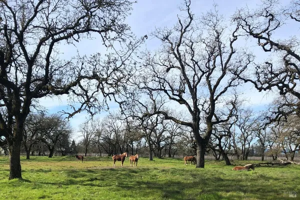 $2,475,000 | 3111 Piner Road, Santa Rosa, CA 95401