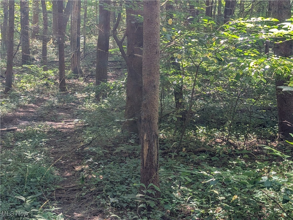 Toll Gate Road Northwest Somerset, OH 43783 - Photo 35 of 40 View of woods