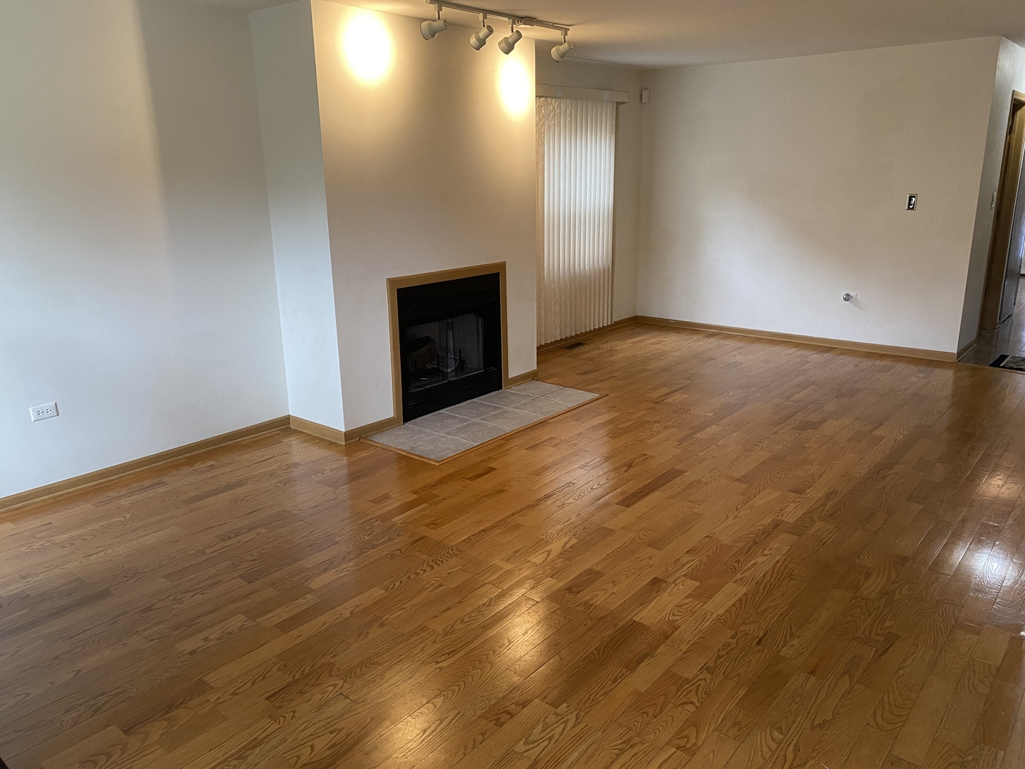 922 North Springfield Avenue Chicago, IL 60651 - Photo 5 of 47 an empty room with wooden floor and fireplace
