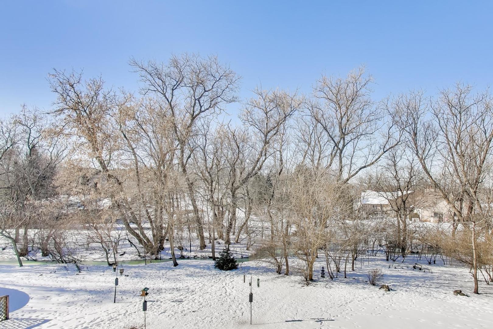 7209 Ridge Court Spring Grove, IL 60081 - Photo 55 of 61