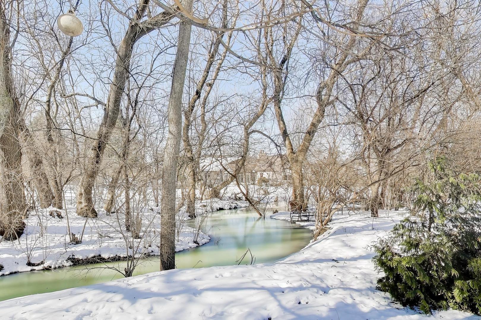 7209 Ridge Court Spring Grove, IL 60081 - Photo 56 of 61