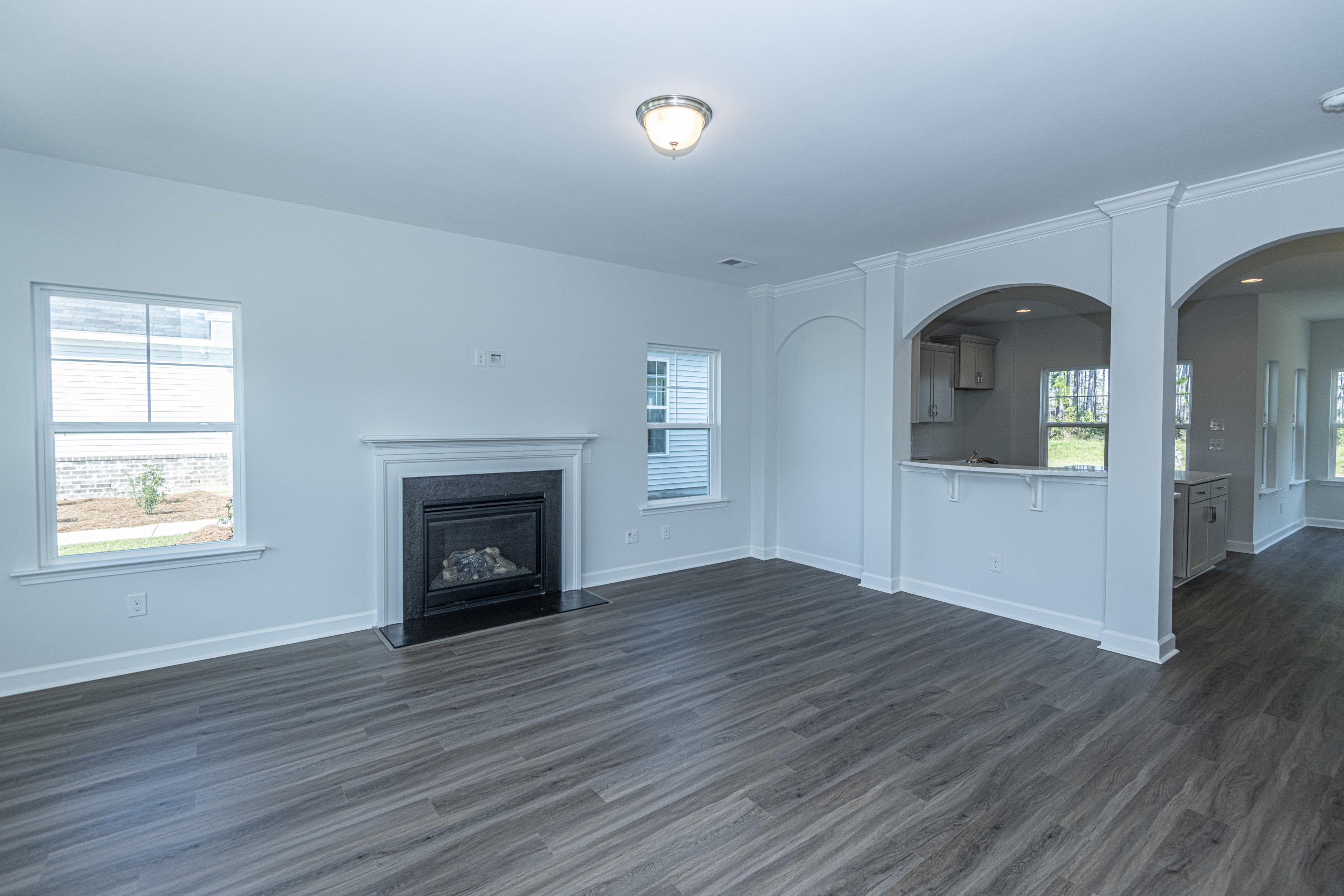 341 Saxony Loop Summerville, SC 29486 - Photo 3 of 30 DSC_3595