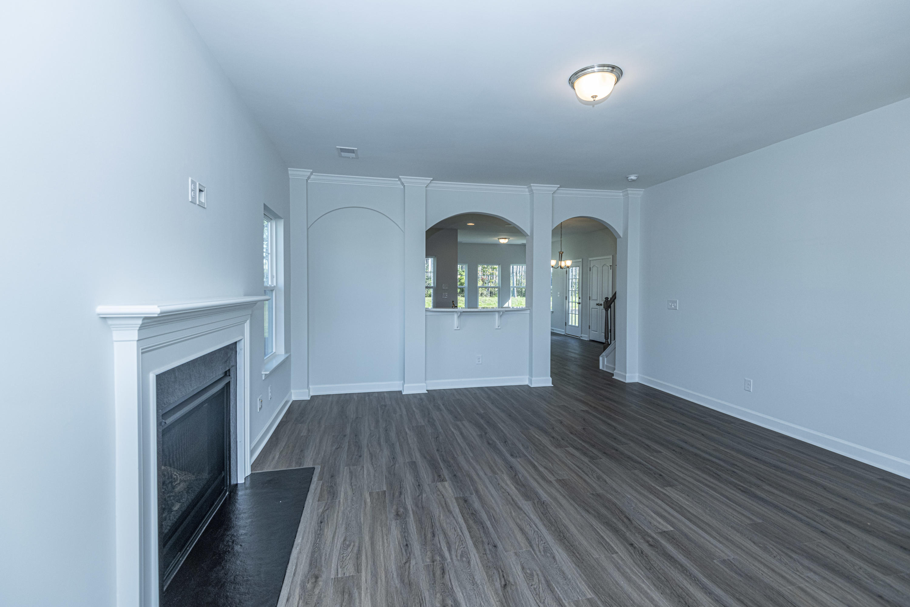 341 Saxony Loop Summerville, SC 29486 - Photo 4 of 30 DSC_3596