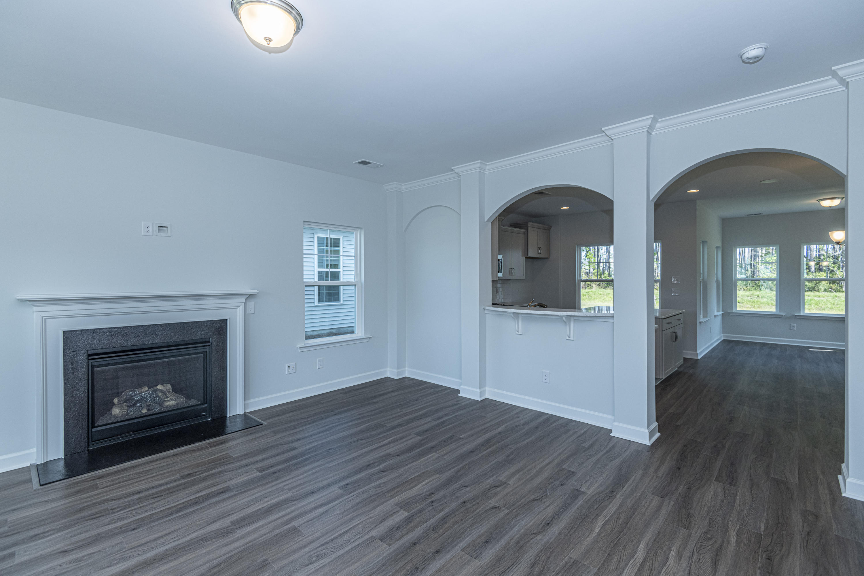 341 Saxony Loop Summerville, SC 29486 - Photo 7 of 30 DSC_3599