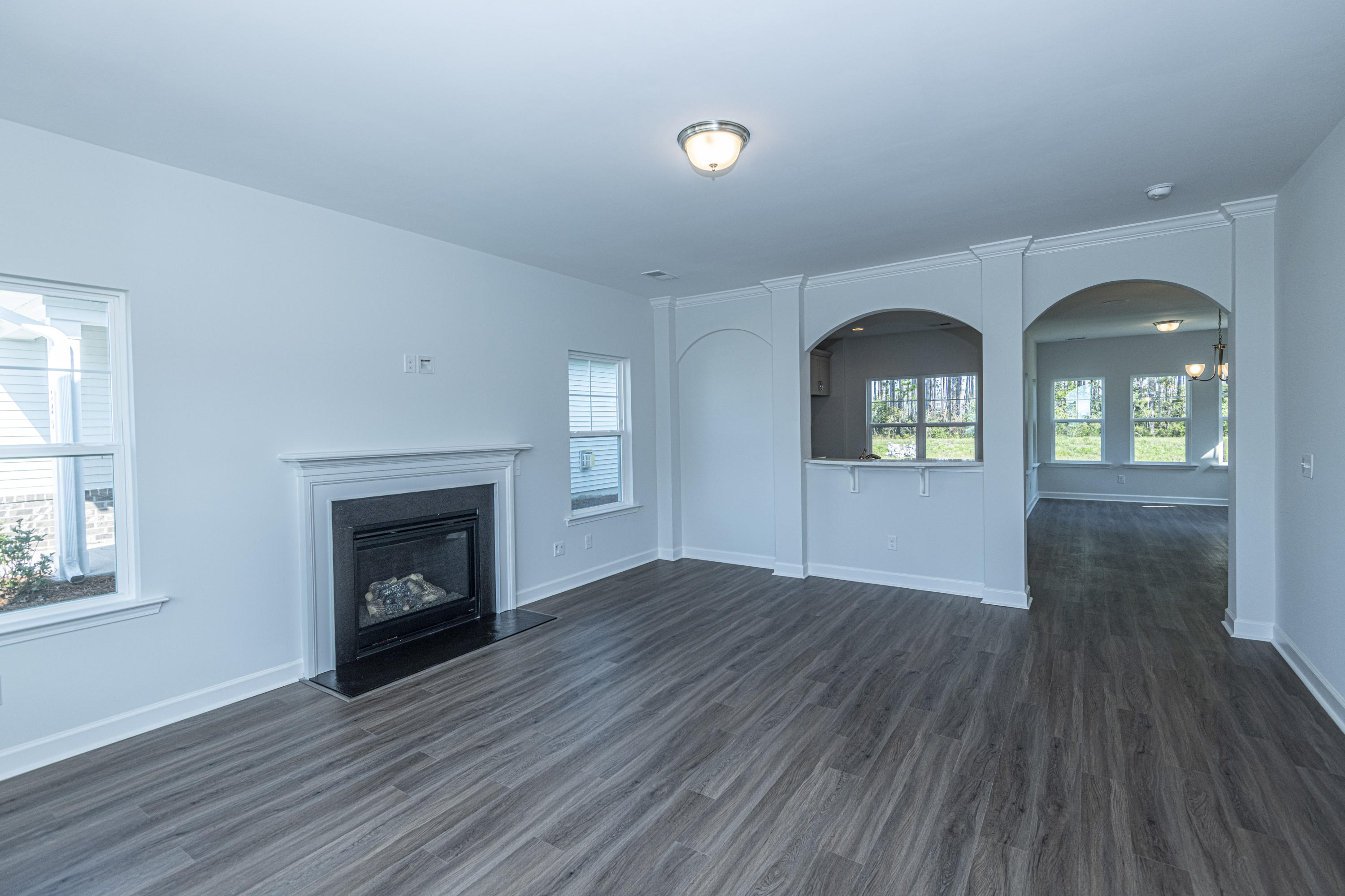 341 Saxony Loop Summerville, SC 29486 - Photo 8 of 30 DSC_3600