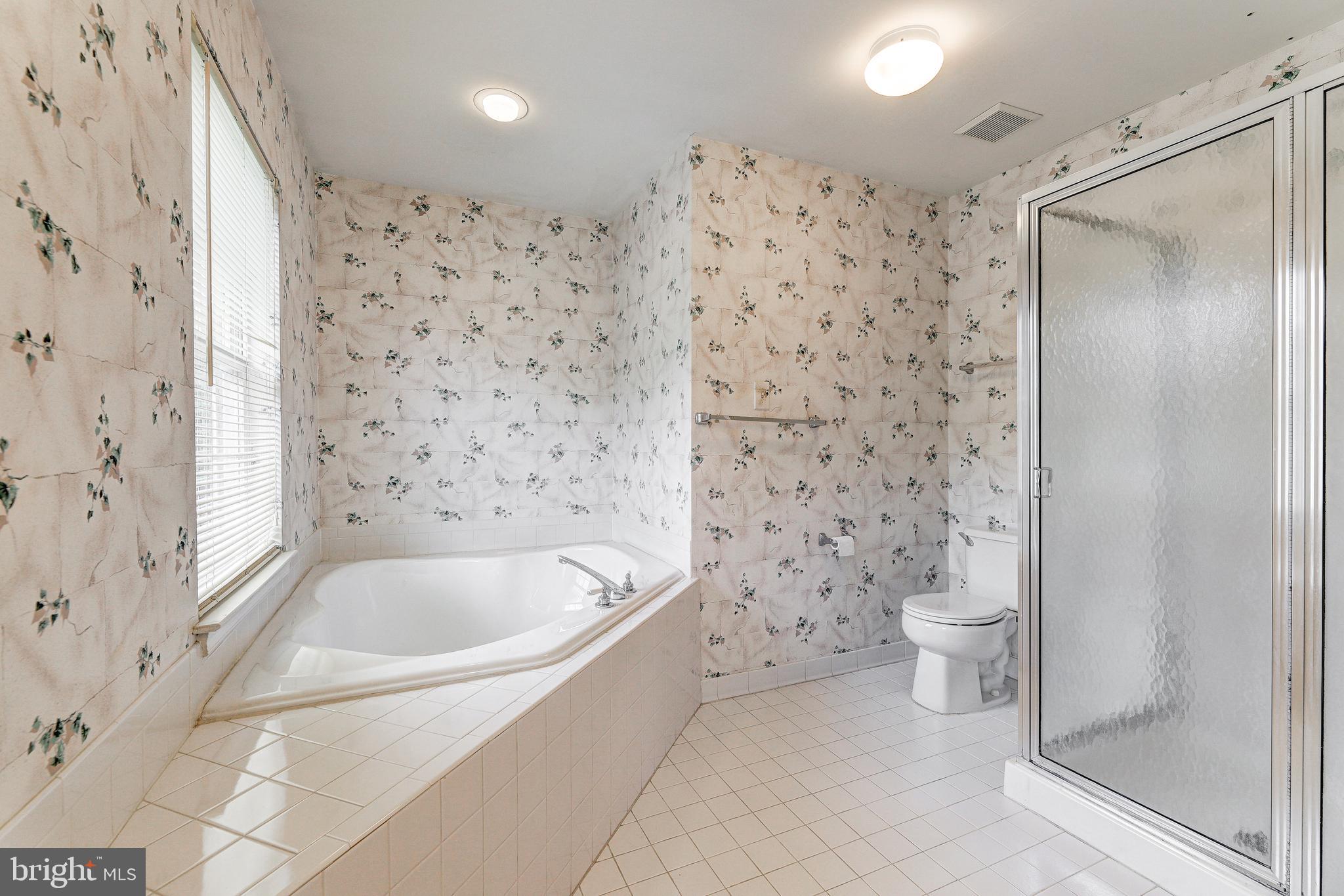 201 Marshall Wood Road Reisterstown, MD 21136 - Photo 18 of 28 Soaking Tub and Shower