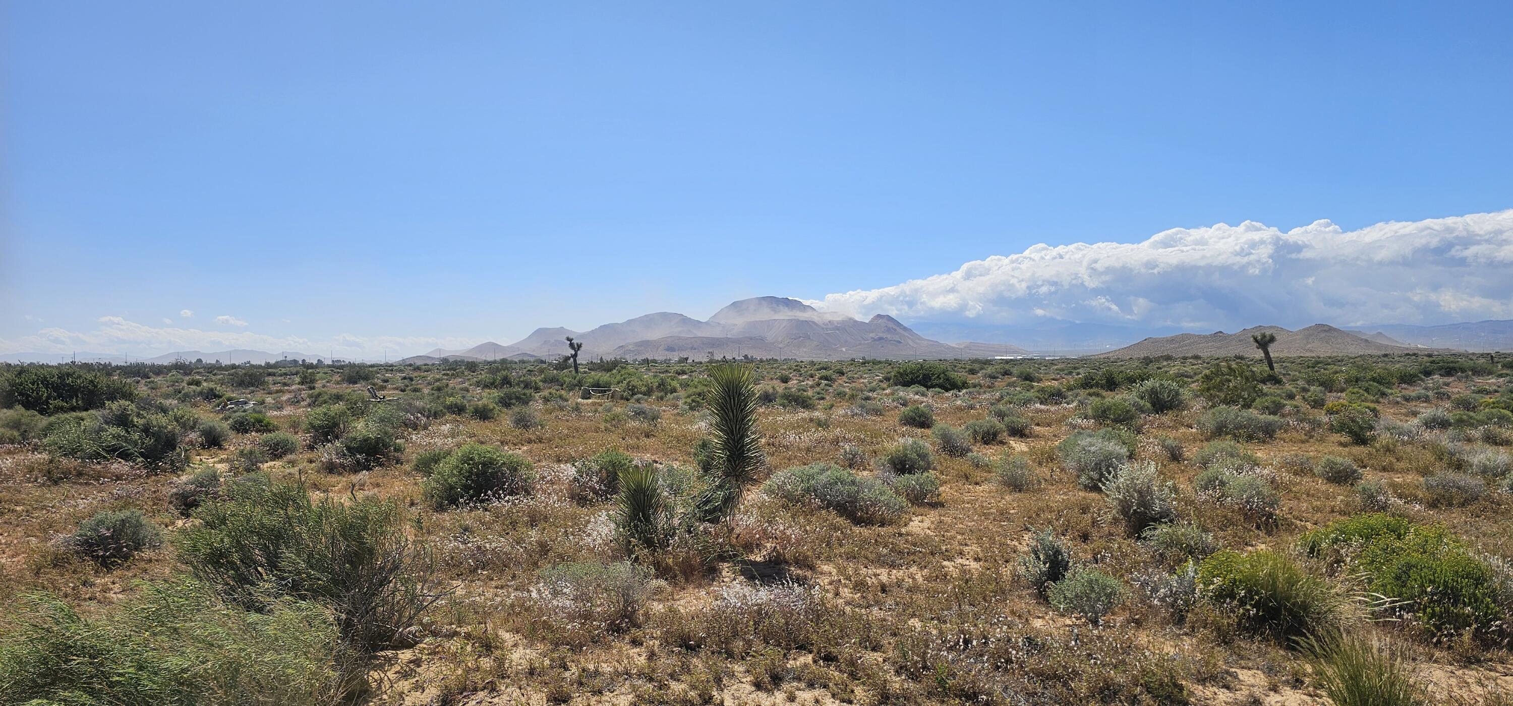 12th Street Mojave, CA 93501 - Photo 3 of 4 a view of a city