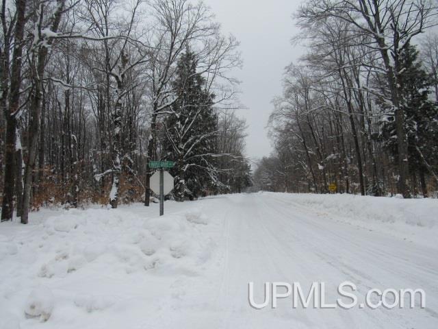 16 Mile Lake Road Munising, MI 49862 - Photo 4 of 16