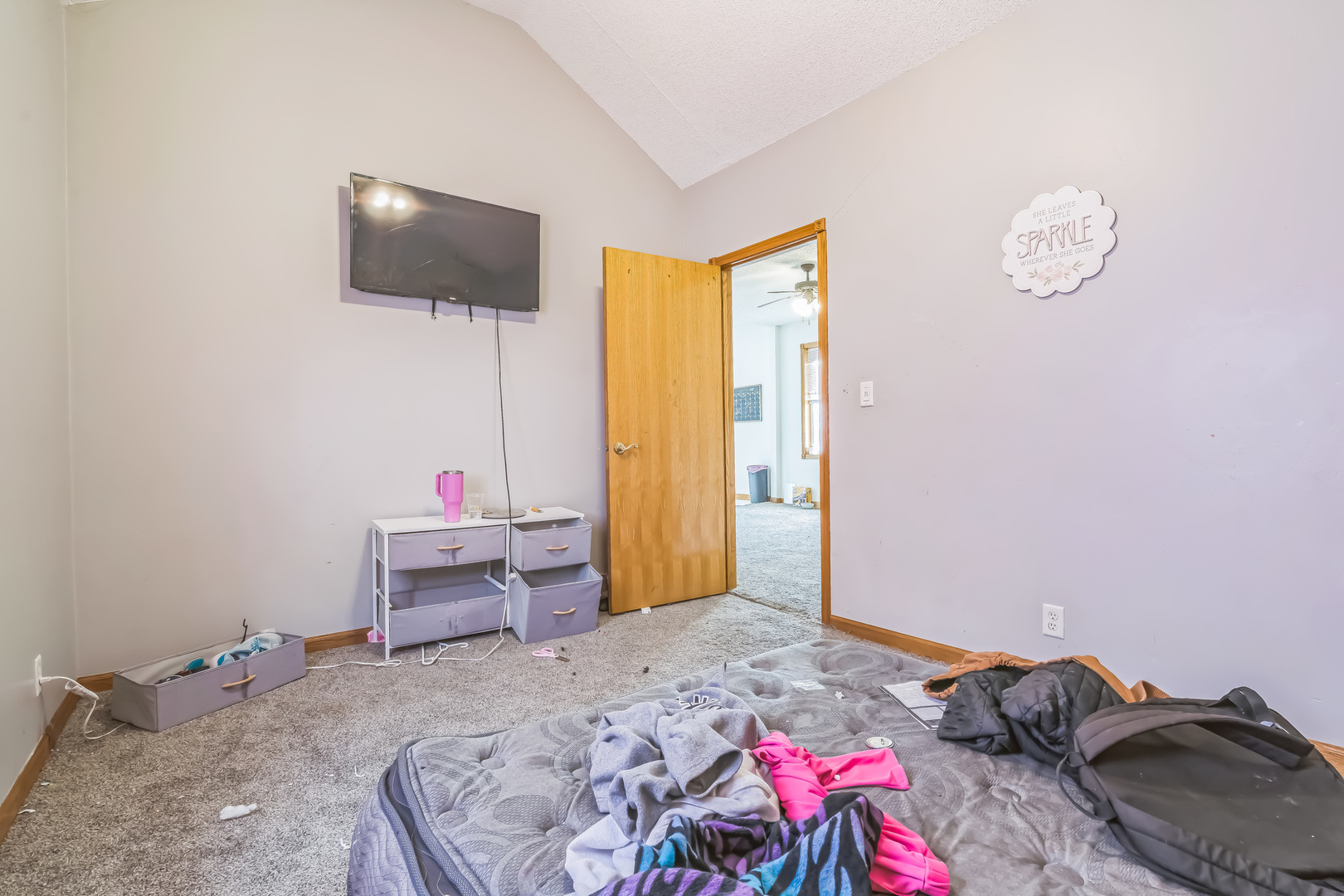 302 East Devlin Street Spring Valley, IL 61362 - Photo 11 of 26