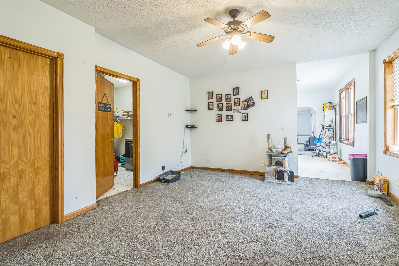 302 East Devlin Street Spring Valley, IL 61362 - Photo 19 of 26