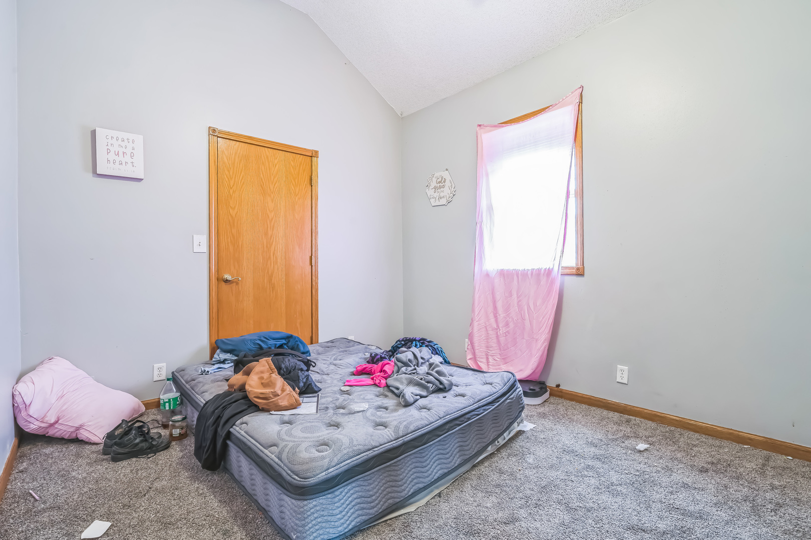 302 East Devlin Street Spring Valley, IL 61362 - Photo 10 of 26