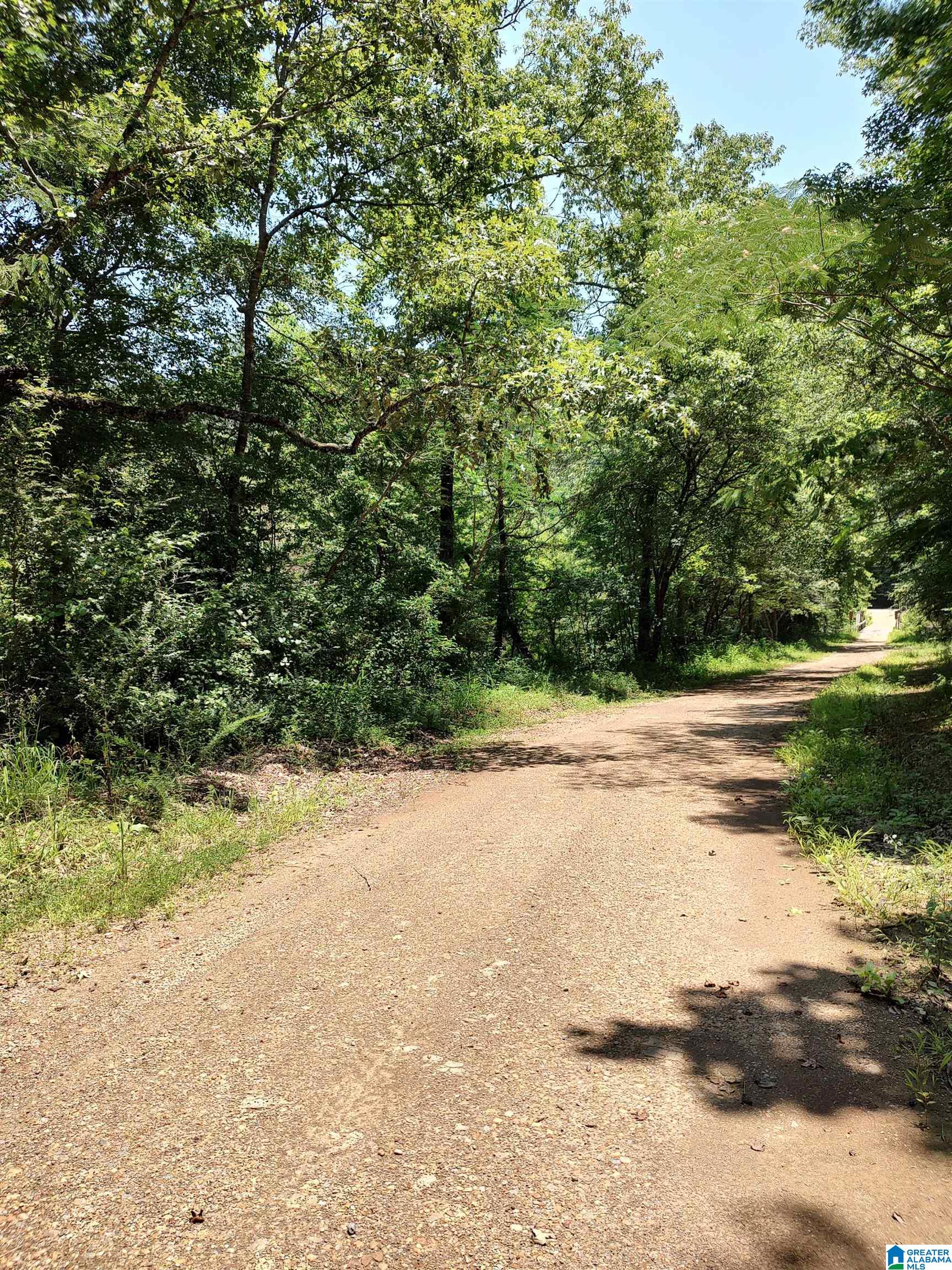 Wolf Creek Road Townley, AL 35587 - Photo 3 of 6