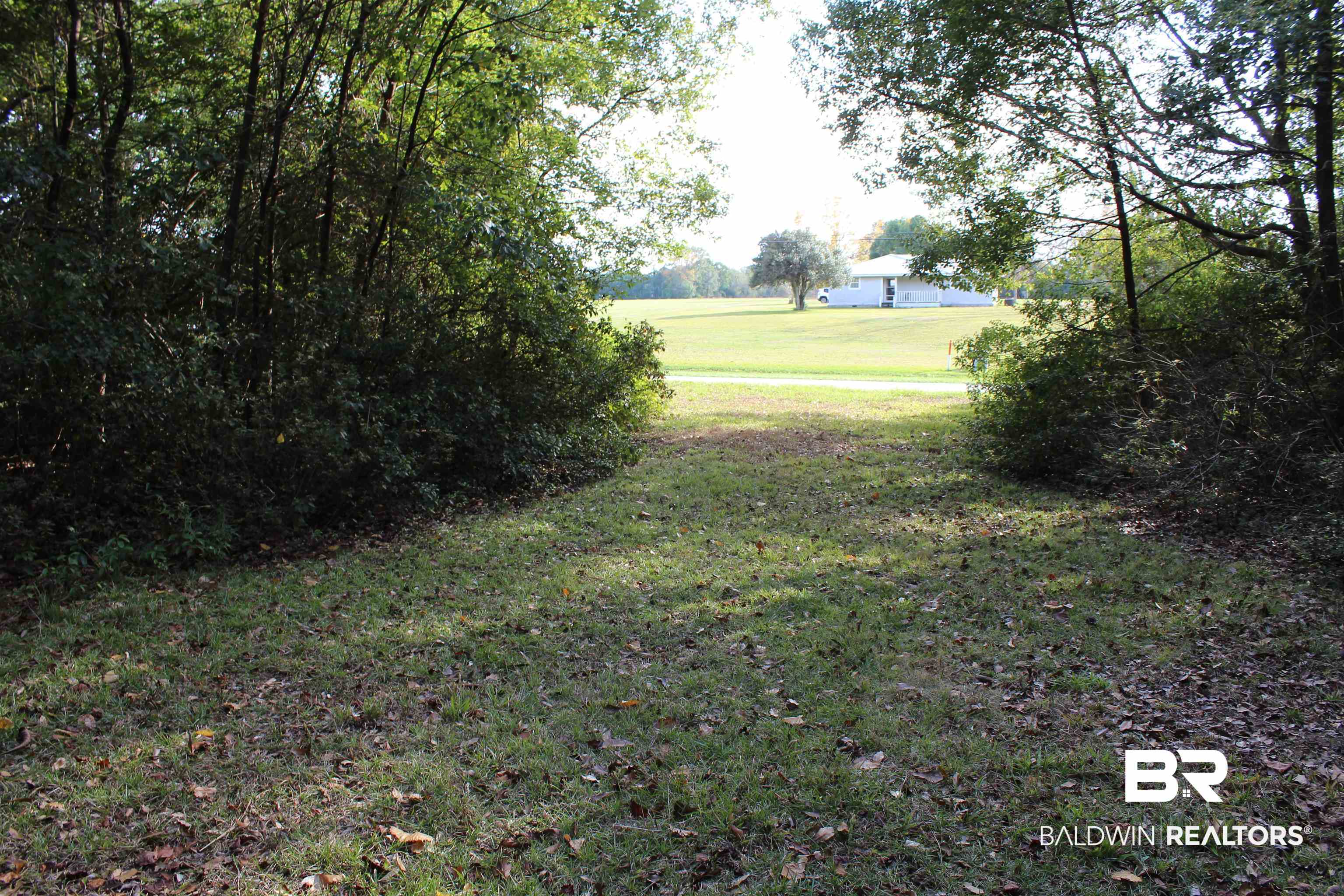 17501 County Road 52 Robertsdale, AL 36567 - Photo 6 of 14