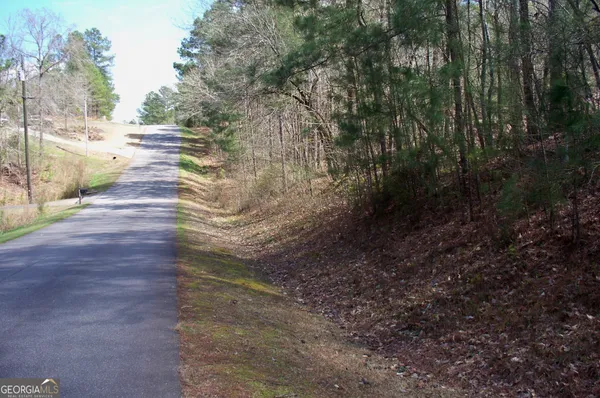 a view of a yard with plants and large trees