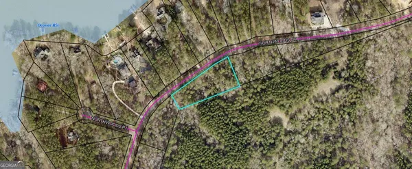 a close up of a palm tree