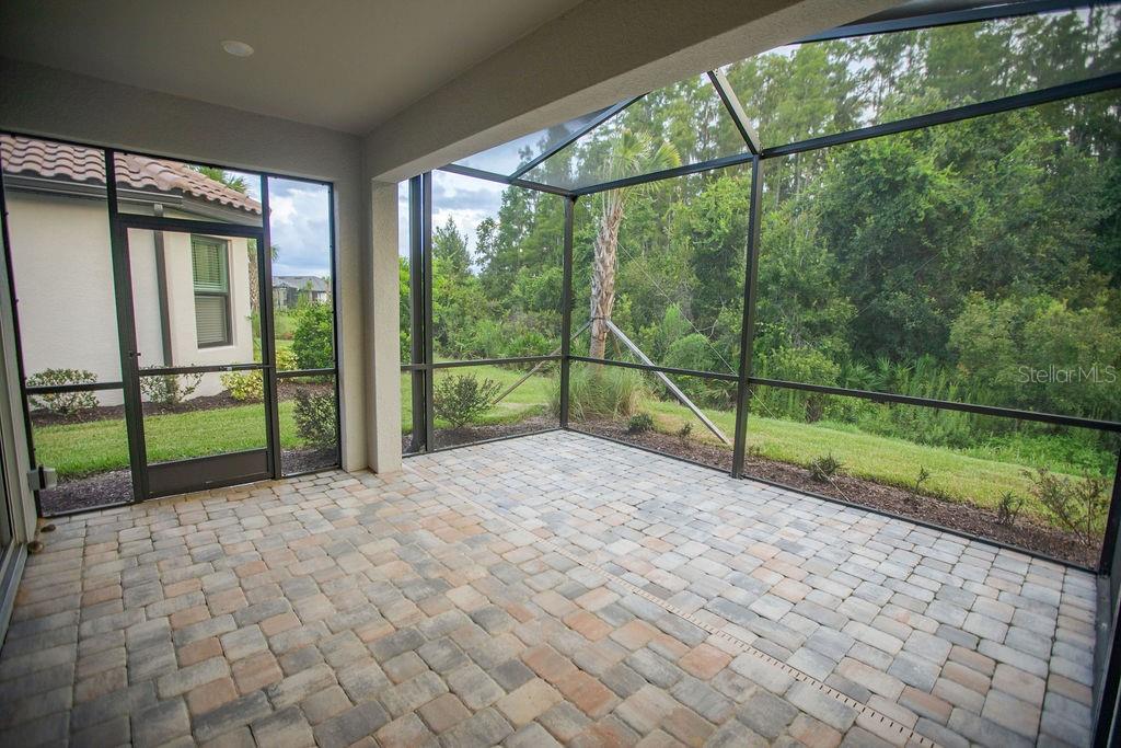 4605 Rosatti Road Wesley Chapel, FL 33543 - Photo 23 of 26 a view of a backyard with porch