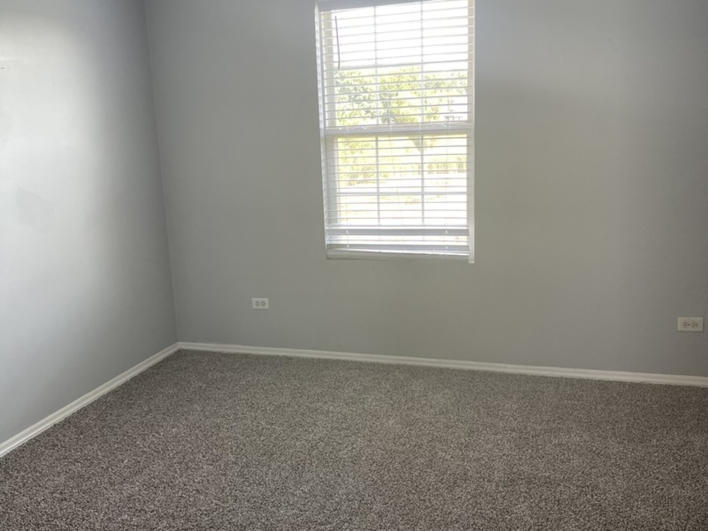 2550 Oak Tree Lane Plainfield, IL 60586 - Photo 16 of 24