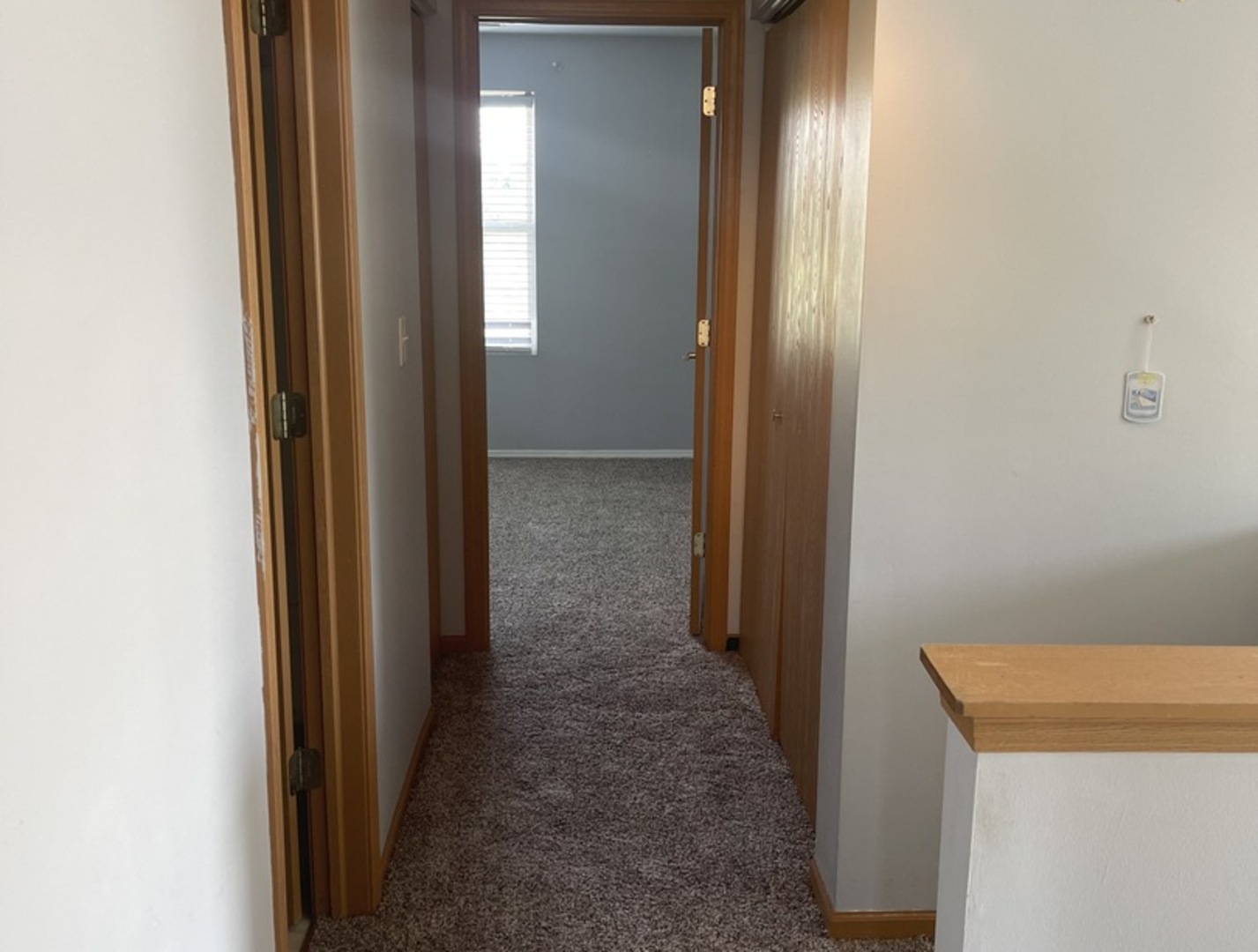 2550 Oak Tree Lane Plainfield, IL 60586 - Photo 21 of 24